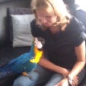 Renee