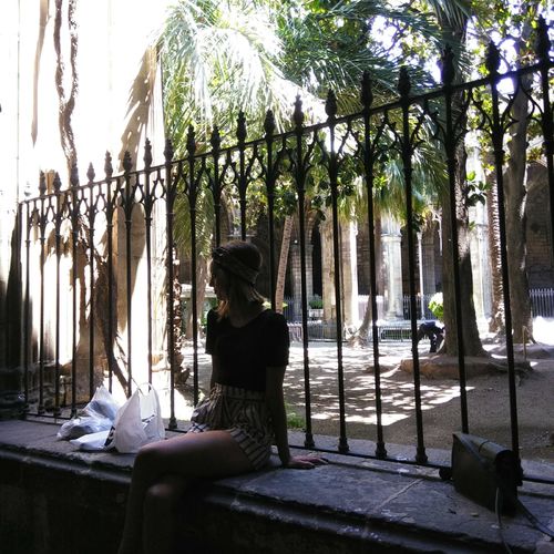 Veerlexo